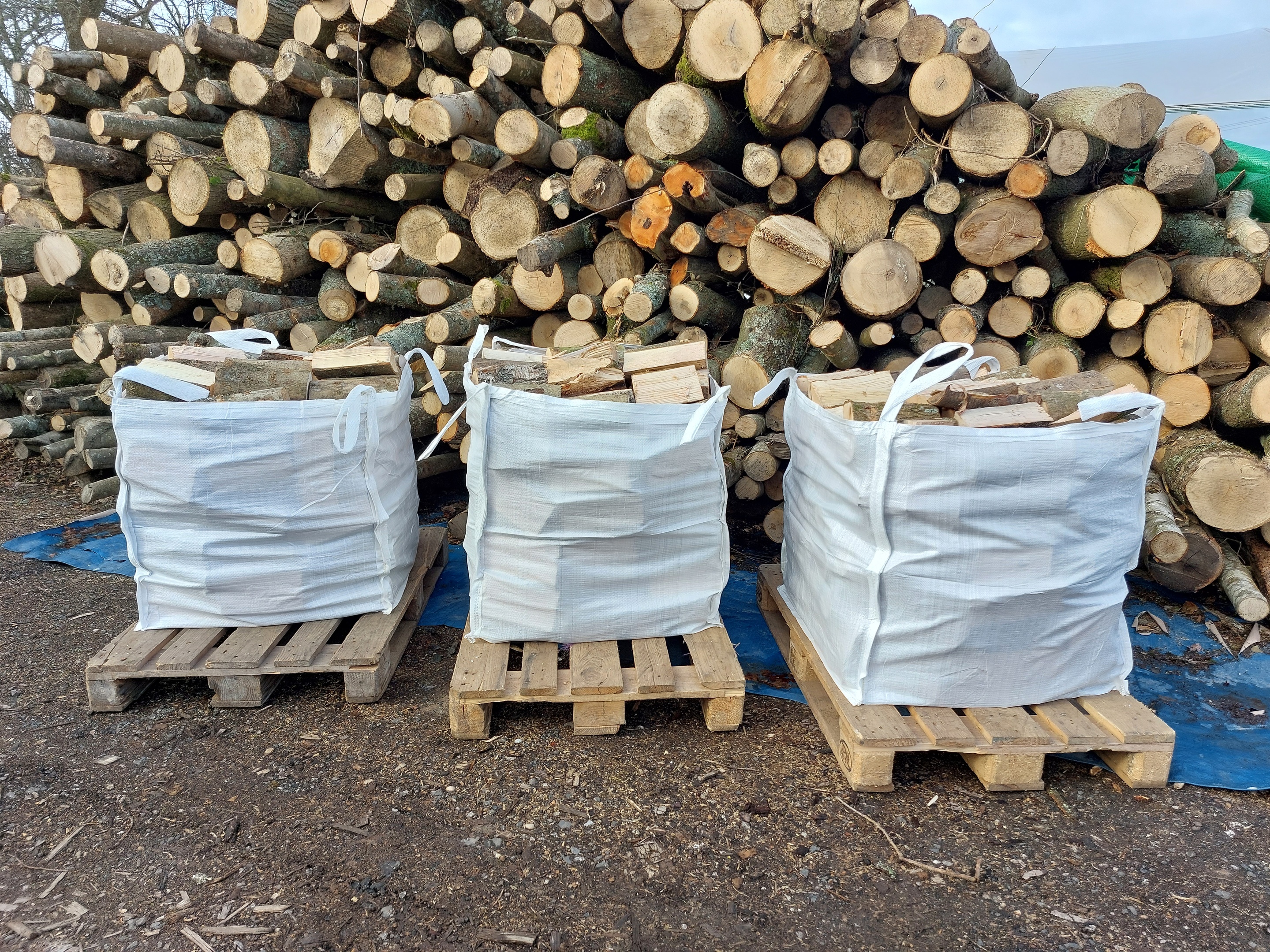 Part-seasoned logs delivery surrey