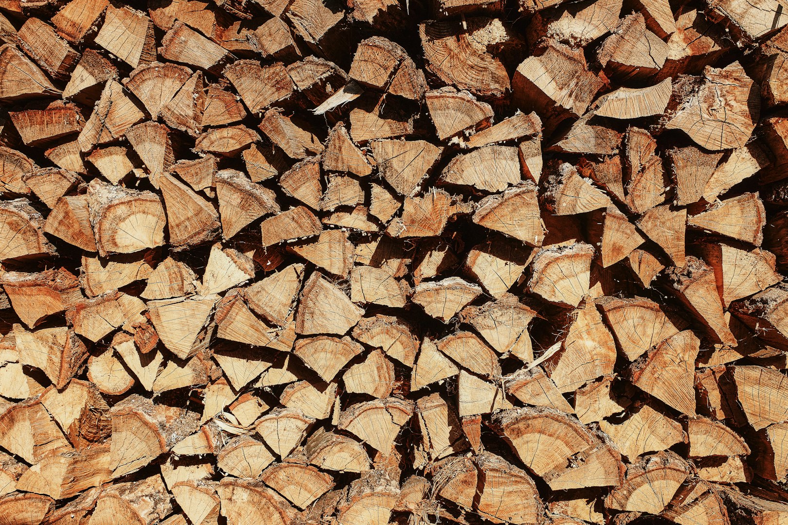 Logs for sale